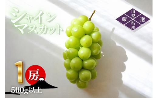 【2026年発送】先行予約 シャインマスカット 1房 500g以上 山梨県産 【山梨県笛吹市 産地直送】　ぶどう フルーツ 果物 209-013