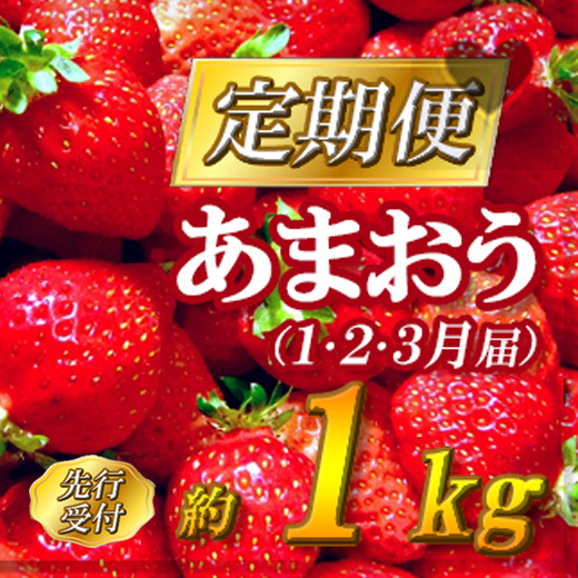 2G3【先行予約】福岡県産「あまおう」定期便3回お届け (1月・2月・3月)