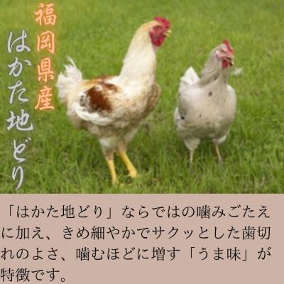 ふるさと納税 筑紫野市 【はかた地どり使用】化粧箱でお届け!素材そのままささみスティック&砂肝チップ40g×各1(筑紫野市) |  | 03