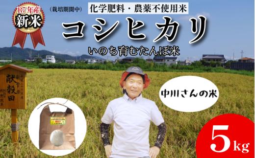 【令和7年産新米】米 コシヒカリ 5kg 天皇献上米 (栽培期間中）化学肥料・農薬不使用米 白米 精米 こめ  ご飯 備蓄米 ごはん 新米  環境 に優しい 小松島市 上王子特質米 5kg