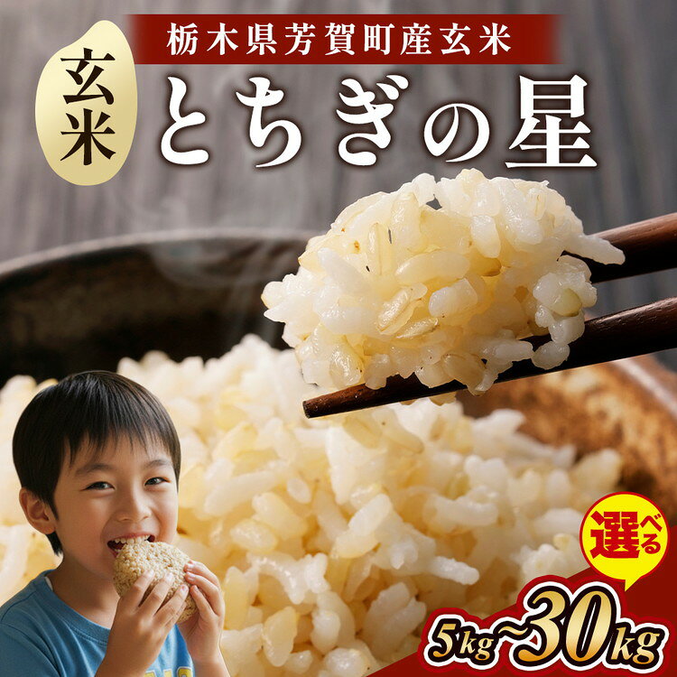 【ふるさと納税】【選べる内容量】＼ご好評につき再販！／特A受賞 令和8年度産 とちぎの星 栃木県芳賀町産玄米5kg | 米 お米 玄米 ブランド米 特A評価 令和8年産 新米 とちぎの星 国産 単一米 数量限定《2026年9月中旬-2027年1月末頃出荷予定》