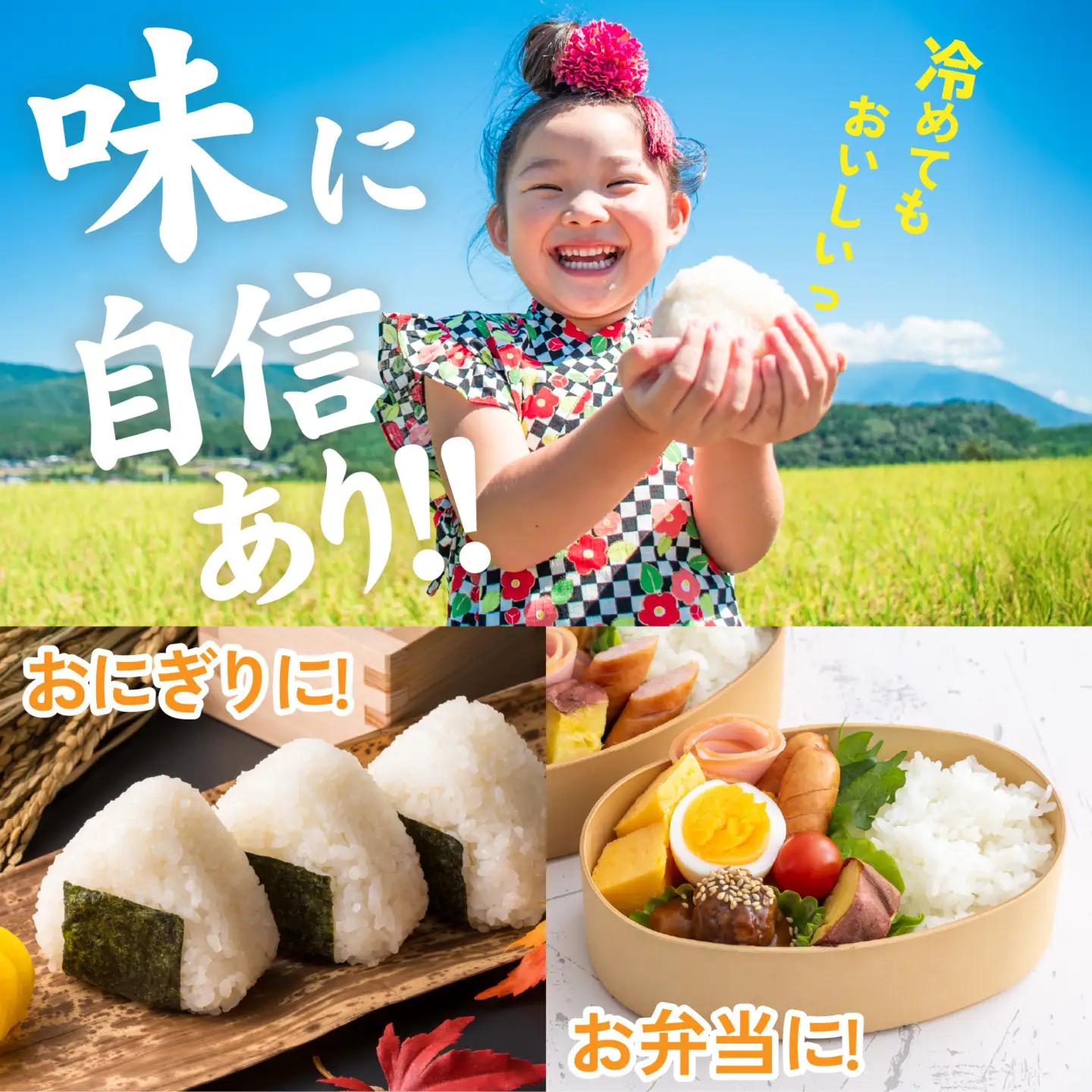 【先行予約】《定期便12ヶ月連続お届け》【ふくい米】令和8年産  福井市産コシヒカリ10kg「2026年10月上旬より順次発送」 [O-168018] | こしひかり