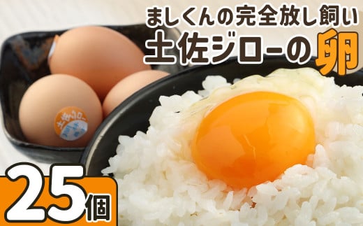 ましくんの完全放し飼い土佐ジローの卵（25個入り）もみ殻梱包 ブランド卵 タマゴ 玉子 たまご 生卵 鶏卵 土佐地鶏 濃厚 新鮮 食品 プレゼント ギフト 送料無料 【R00443】【R00443】