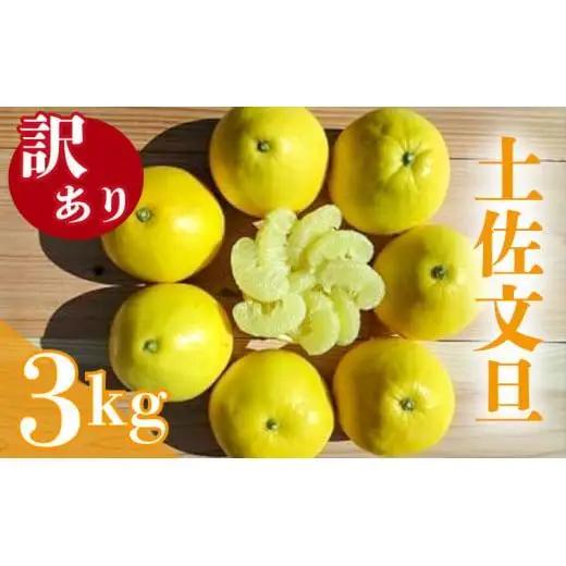 訳あり文旦 3kg