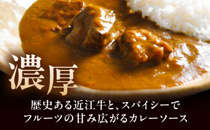 -あふひ 贅の極み- 近江牛カレー レトルト 2人前×5個セット ビーフカレー レトルトカレー 保存食 恵那市 / テンポイント [AUEU018]
