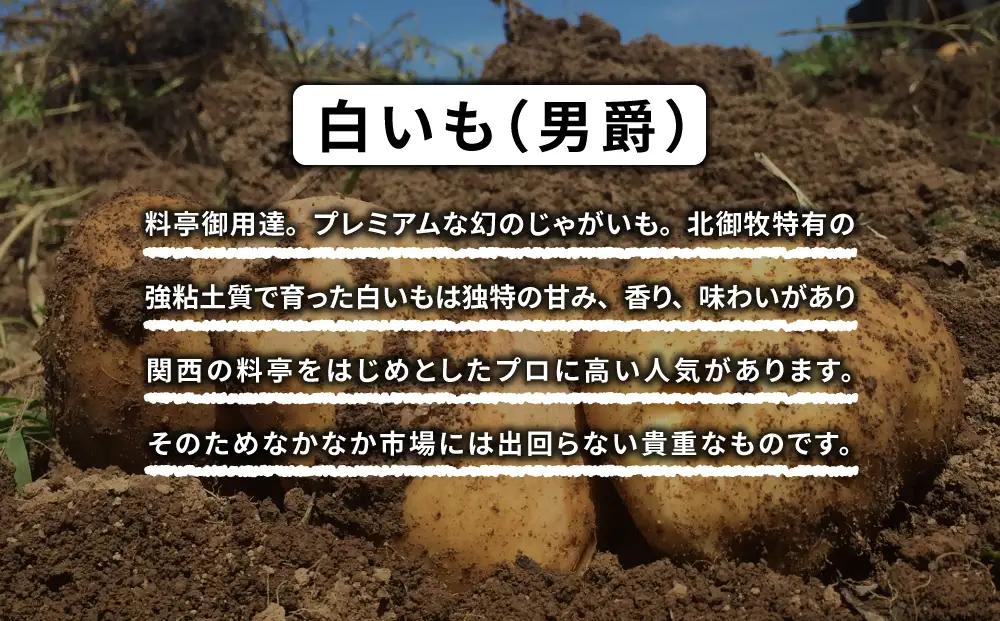 料亭御用達！東御市産白いも 5kg｜じゃがいも【数量限定】｜御牧八重原農園 ※2026年8月下旬～10月下旬に順次発送予定※着日指定不可