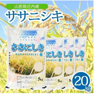 ふるさと納税 酒田市 【令和7年産米】【山形県庄内産】ササニシキ5kg×4袋 計20kg 精米
