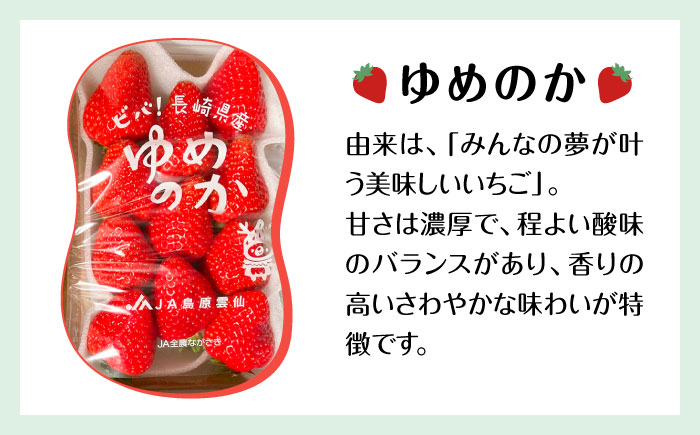 【2025年1月〜発送】【セット内容が選べる】 いちご 2種類 食べ比べ 約250g×4P / ゆめのか こいみのり イチゴ 苺 果物 フルーツ / 南島原市 / JA島原雲仙東南部基幹センター[SA