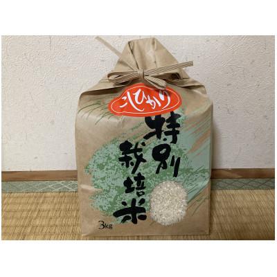 ふるさと納税 亀岡市 いぬかんの　コシヒカリ　3kg