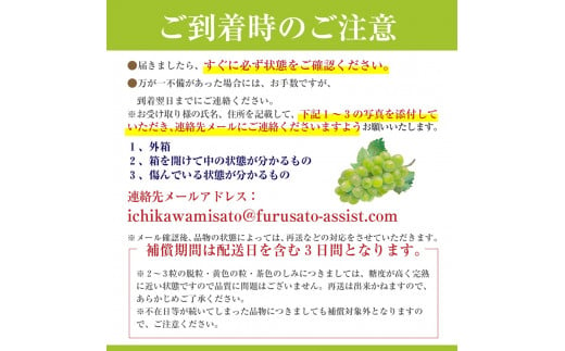 ハウス栽培で旬の味を一足早くお届け！【2025年７月下旬から発送】山梨県産シャインマスカット ２kg（２～４房程度）丹澤農園[5839-1180]