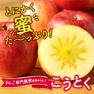 《先行予約》特選こうとくりんご約2.5kg 【2024年11月中旬頃～発送予定】【大江町産・山形りんご・大地農産・11月・12月】 028-024