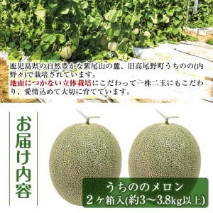 i605 ＜2025年5月下旬～7月下旬の間に発送予定＞うちののメロン(計3～3.8kg・2玉) メロン 果物 くだもの フルーツ 3kg以上 2玉 青肉 国産 九州産 鹿児島県産 【山ん神】