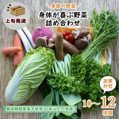 ふるさと納税 神栖市 【発送月固定定期便】『身体が喜ぶ野菜』おまかせ10〜12品(上旬発送)全10回