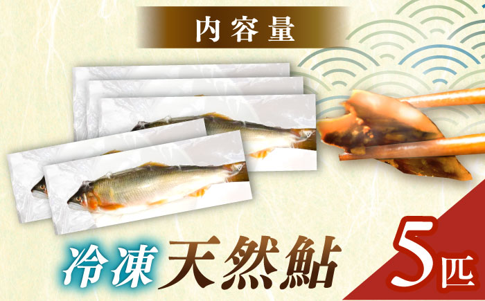 ＜冷凍＞天然あゆ 19～22cm 5匹入り（約500g） / あゆ 天然 鮎 冷凍 / 恵那市 / 恵那物産館 [AUFS009]