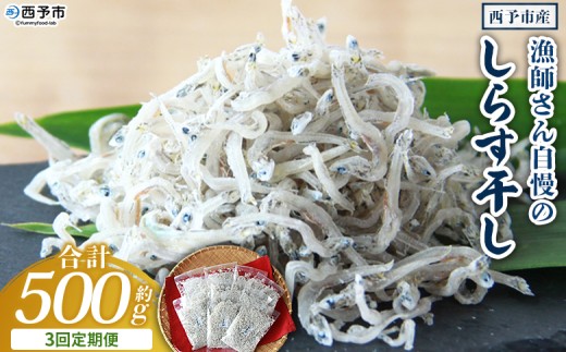 ＜漁師さん自慢のしらす干し 合計500g 3回定期便＞ 定期便 シラス 魚介類 さかな 海産物 海鮮 海の幸 小分け 国産 ご飯のお供 丼 晩酌 おかず 特産品 濱田水産 愛媛県 西予市 【冷凍】『お申込み月の翌月より配送を開始します』