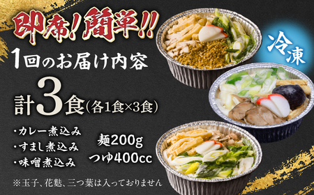 うどん 【3回定期便】田毎の煮込みうどん定番セット [ANFP010] うどん