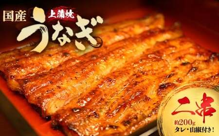 うなぎ上蒲焼2串(各100g前後)【老舗 ギフト 冷凍 うなぎ 鰻 ウナギ かばやき 串 タレ 山椒 千葉県 市川市】【12203-0298】