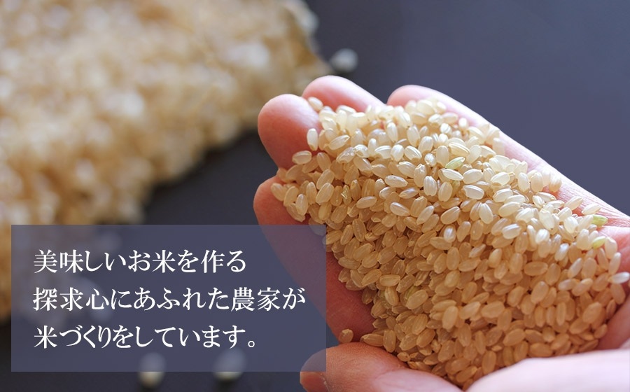 【令和7年産】【定期便】 山形 はえぬき 精米 10kg(5kg×2袋)×3ヶ月　山形県鶴岡市産　株式会社菜な八（鶴岡ファーマーズ）
