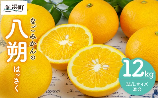 【2027年発送先行予約品】なごみかんの八朔12キロ【数量限定 果物 フルーツ みかん 八朔 はっさく デザート 12kg 三重県 御浜町】