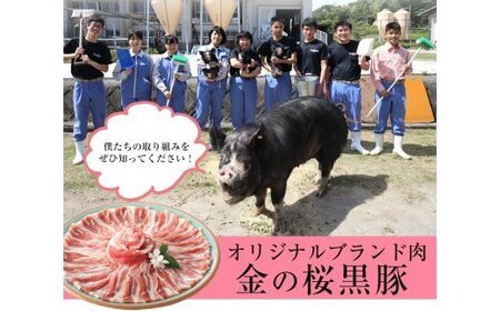 レンジでチン！金の桜黒豚 6食分「黒豚丼（180g×6袋）」【00-057-30】