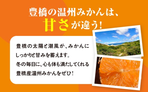 ≪先行予約≫ 温州小玉みかん ご家庭用 4kg わけあり  4キロ みかん ミカン 蜜柑 mikan 柑橘 旬 フルーツ 果物 愛知県 豊橋市  15000円  国産 豊橋産 愛知県 豊橋市 みかん 