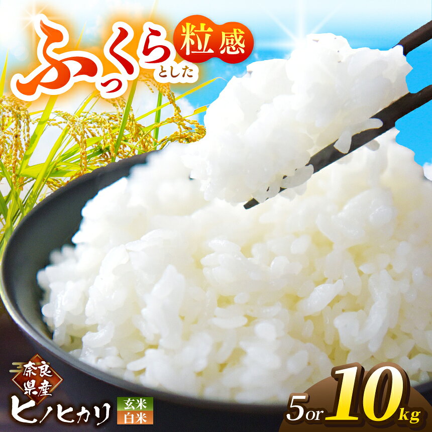 【ふるさと納税】奈良県産ヒノヒカリ 5kg 10kg 精米 白米 玄米 | 奈良県 お米 玄米 ヒノヒカリ 米 おすすめ 人気