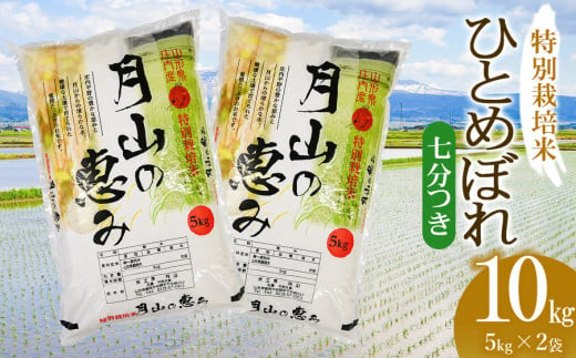 【令和6年産 新米】 特別栽培米 ひとめぼれ 七分づき 10kg（5kg×2袋）山形県鶴岡市産　米工房 月山