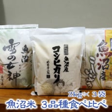 【令和5年産】《魚沼産米》こだわりの3品種食べ比べセット　6kg(2kg×3品種)