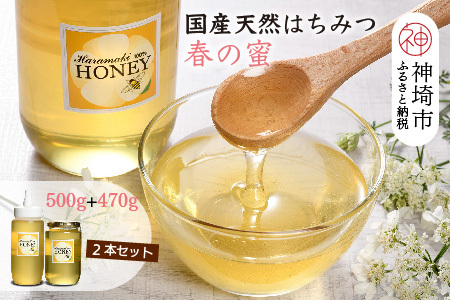 【数量限定】2025年産 国産天然蜂蜜（春の蜜）500g & 470g　(H049114)