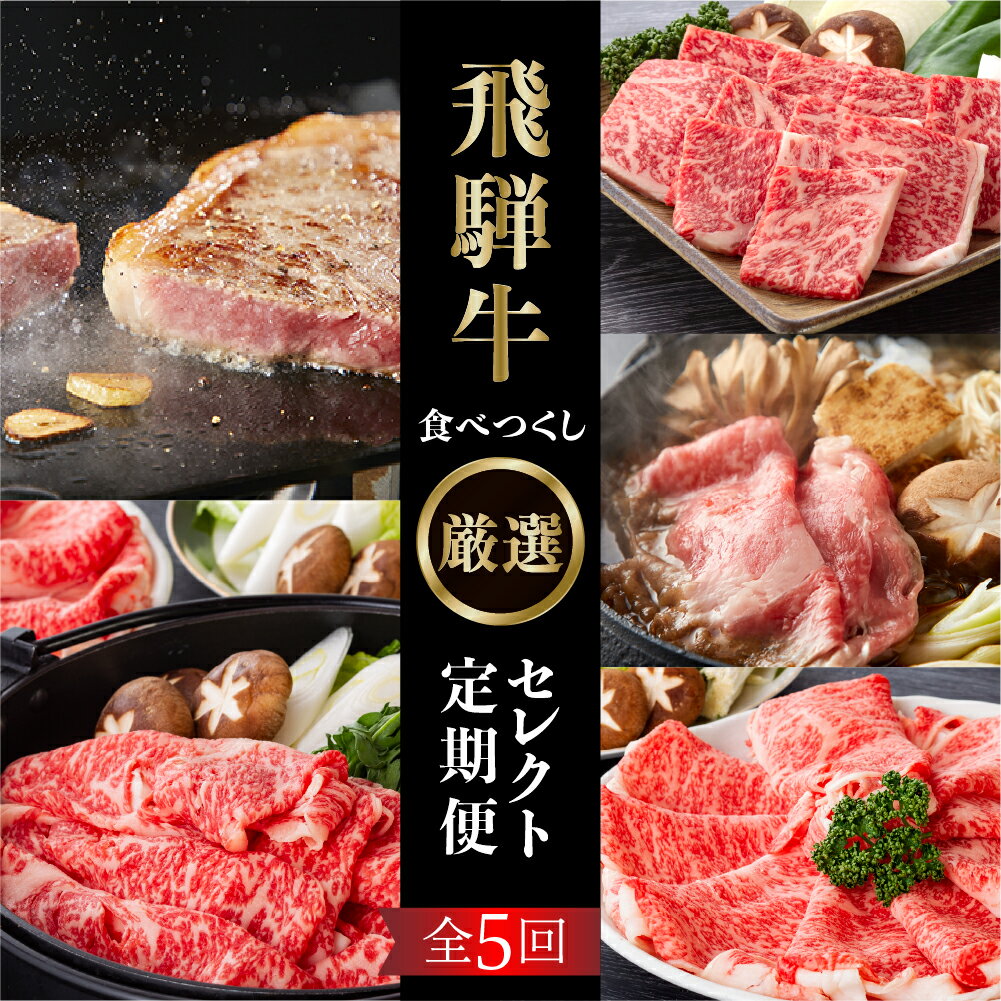 【ふるさと納税】《定期便5回》飛騨牛食べつくし厳選セレクト 5か月 焼肉 サーロイン肩ロース ロース モモ すき焼き しゃぶしゃぶ 食べ比べ 牛肉 国産 焼き肉 赤身 だるまミート 岐阜県 白川村 贅沢 冷凍 95000円 お楽しみ [S407]