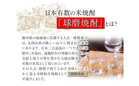 米焼酎 白岳パック 25度 1800ml×2本 焼酎