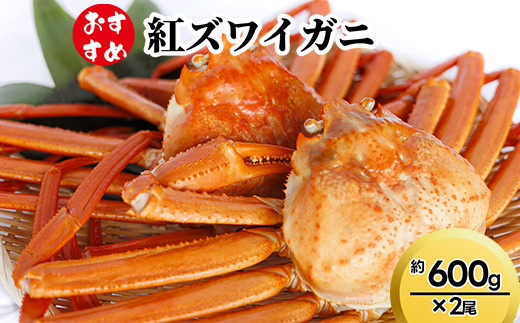 【おすすめ】紅ズワイガニ約600g×2尾 ｜ズワイガニ 紅ずわいがに 紅ズワイガニ カニ 蟹 かに かにしゃぶ カニしゃぶ 蟹しゃぶ かに鍋 カニ鍋 蟹鍋 かに味噌 カニ味噌 かにみそ 魚貝類 魚介類 ボイル 海鮮 ズワイガニ 茹でたて 新鮮 国産 富山県産 富山湾 北陸 富山カニ 北陸カニ 富山かに 北陸かに 富山蟹 北陸蟹 ※2026年9月～発送