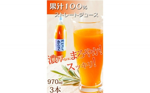 
果汁100％田村そだちみかんジュース 970ml×3本
