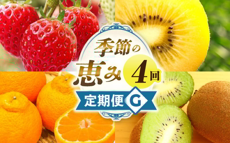 
            季節の恵み4回定期便G_mk165-t045
          