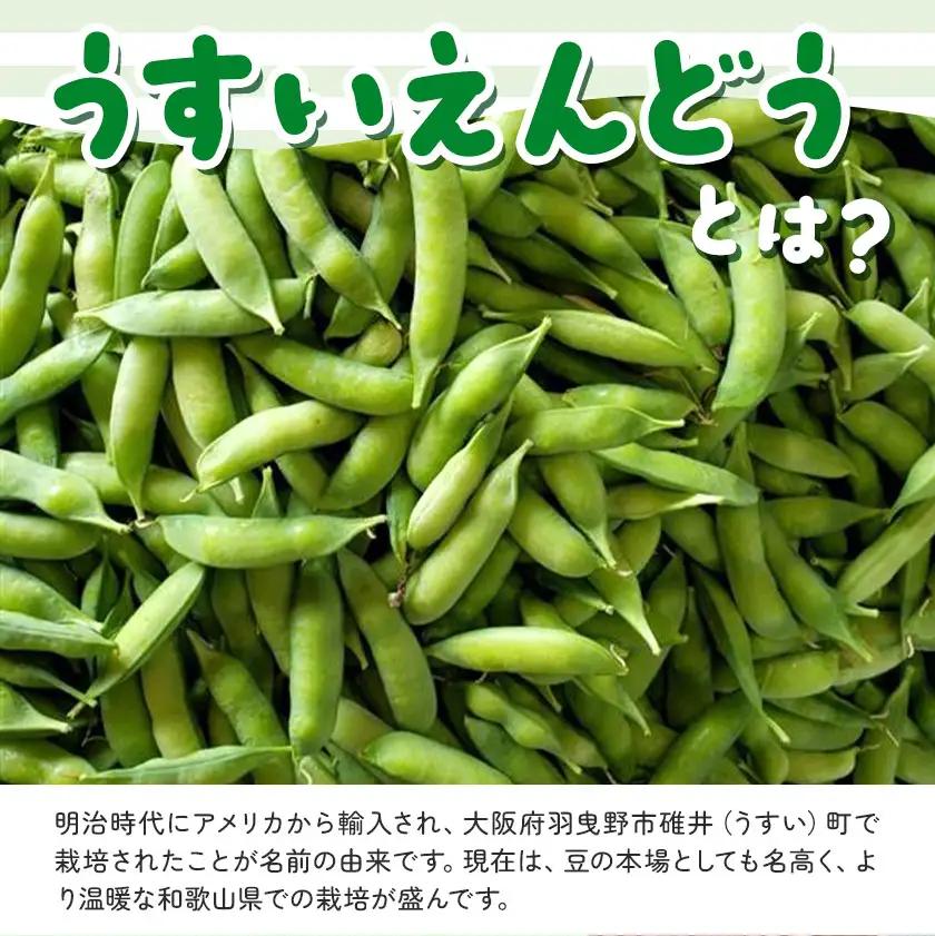 うすいえんどう 約1kg うえやまファーム《2027年4月上旬-5月下旬頃出荷》