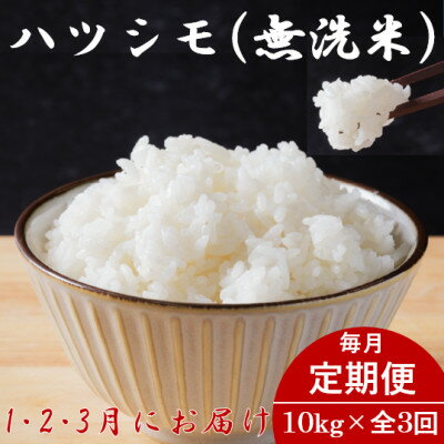 【ふるさと納税】【発送月固定定期便】生産者応援!岐阜県産ハツシモ(無洗米)10kg【1・2・3月発送】全3回【配送不可地域：離島】【4073162】