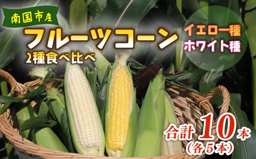【2027年先行予約】南国フルーツコーン 2種食べ比べ 10本（イエロー種、ホワイト種、各5本）| とうもろこし トウモロコシ コーン スイートコーン フルーツとうもろこし もぎたて 新鮮 朝採れ 朝どり 夏野菜 旬 期間限定 数量限定 産地直送 農家直送 フルーツのような甘さ 甘い 激甘 皮付き 家庭用 高知県 南国市 BBQ バーベキュー キャンプ アウトドア