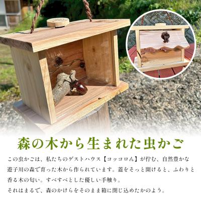 ふるさと納税 西予市 <遊子川の森から生まれた、木の温もり溢れる木製虫かご> 虫かご 虫籠 木製 1個 |  | 01