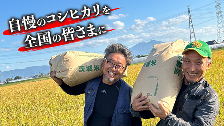 【令和7年】茨城県産 コシヒカリ 5kg 令和7年産 新米 単一原料米 精米 米 お米 コメ 白米 こしひかり 茨城県 [BC084sa]