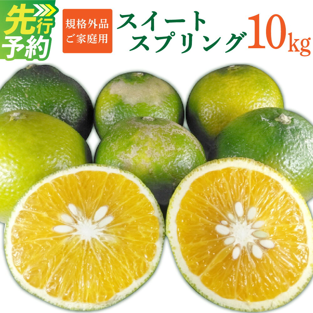 【ふるさと納税】＜ R8年熊本地震復興支援 ＞ 【規格外品】スイートスプリング ご家庭用 10kg サイズ不選別 訳あり みかん フルーツ 果物 柑橘 熊本県産 九州産 送料無料 【2027年1月上旬～2月下旬迄発送予定】