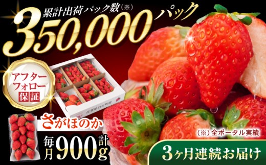 【先行予約】【2027年1月以降発送】【3回定期便】白石産 いちご さがほのか 約150g×6パック/回（総計2.7kg以上）【道の駅しろいしカンパニー】  佐賀県 白石 [IAA031]