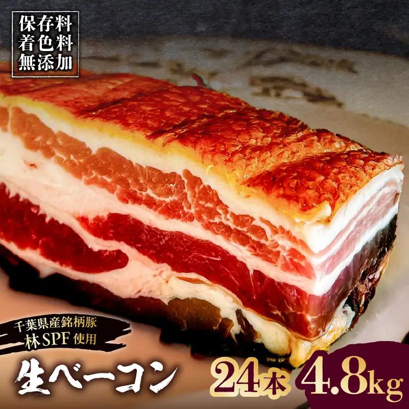 生ベーコン【保存料・着色料無添加】《国産銘柄豚 林SPFプレミアムポーク 豚バラ》24本 4.8kg 【kt088-005-7】