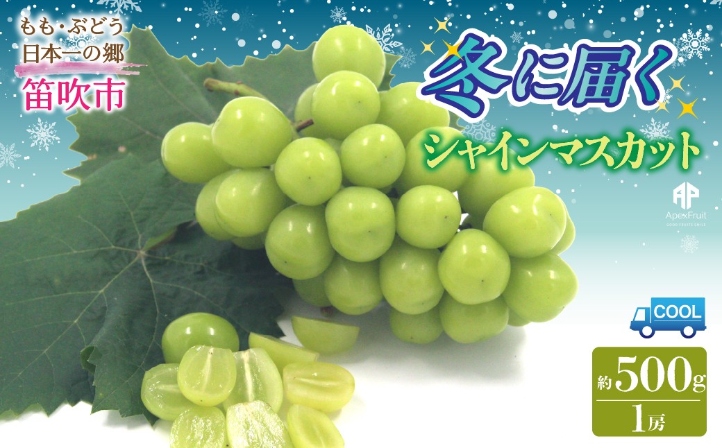 
                  【2026年発送先行予約】笛吹市産　冬に届くシャインマスカット　1房(約500g） 205-020-26y
                