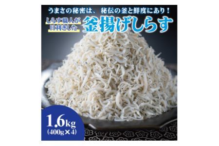 しらす職人が目利きした「釜揚げしらす」１.６ｋｇ(B535-1)