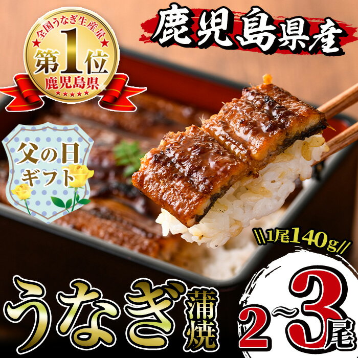 【ふるさと納税】【父の日ギフト】尾数が選べる！鹿児島県産うなぎ蒲焼(2尾 or 3尾) 1尾約140g うなぎ 鰻 ウナギ 2尾 3尾 選べる 蒲焼き 国産 鹿児島県産 焼きたて 生産量日本一 真空パック おかず 晩御飯 特別な日 父の日 プレゼント ギフト 贈答 【薩摩川内鰻】