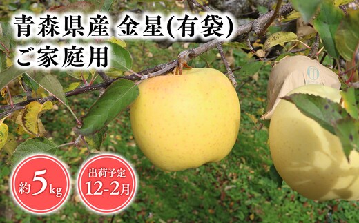 
										
										１２月～２月発送 【訳あり】家庭用金星(有袋)5ｋｇ 【そと川りんご園・１１月・１２月・１月・２月・青森県産・平川市・りんご・金星(有袋)・5ｋｇ・訳あり・家庭用】
									