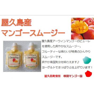 ふるさと納税 屋久島町 屋久島産　マンゴースムージー　冷凍10個 |  | 03