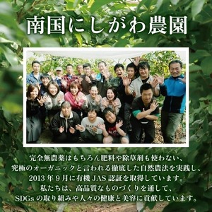 有機グアバ農園のグルテンフリー玄米パスタ麺 100g×18袋セット【グルテン フリー ダイエット 健康 食品  人気 おすすめ 高知県 南国市】