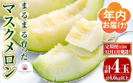 【0432211b】＜定期便・全2回(12月・1月)＞年内お届け！まるまる育ったマスクメロン(2玉×2回・計6.6kg以上) マスクメロン フルーツ 果物 果実 6キロ 数量限定 期間限定 【まる美園芸組合】