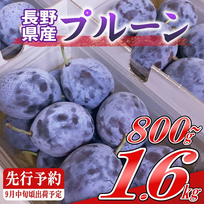 【ふるさと納税】プルーン【先行予約・2026年9月上旬～中旬発送】(北海道・沖縄・離島は配送不可)　サンプルーン 果物　フルーツ　くだもの　生プルーン　プルーン栽培発祥の地　信州　長野県　佐久市　産地直送　旬彩